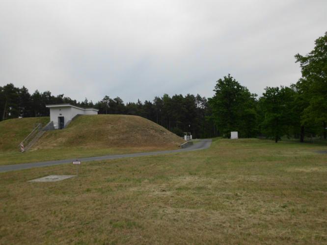 dsci3496.jpg